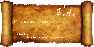 Blaustein Antal névjegykártya