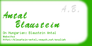 antal blaustein business card